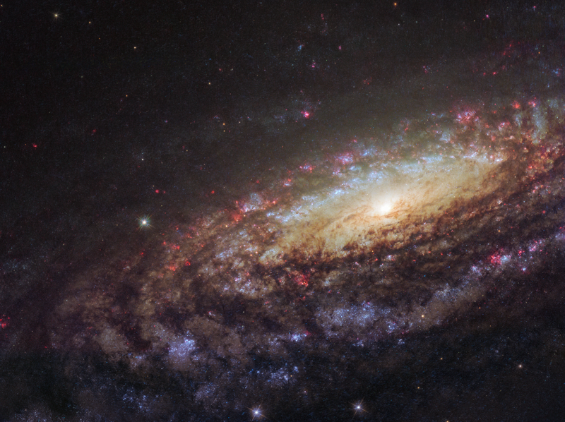 A fresh Type Ia supernova in NGC 7331. Image: 2026 09 13 sn 2026aaiv ngc 7331 supernova.