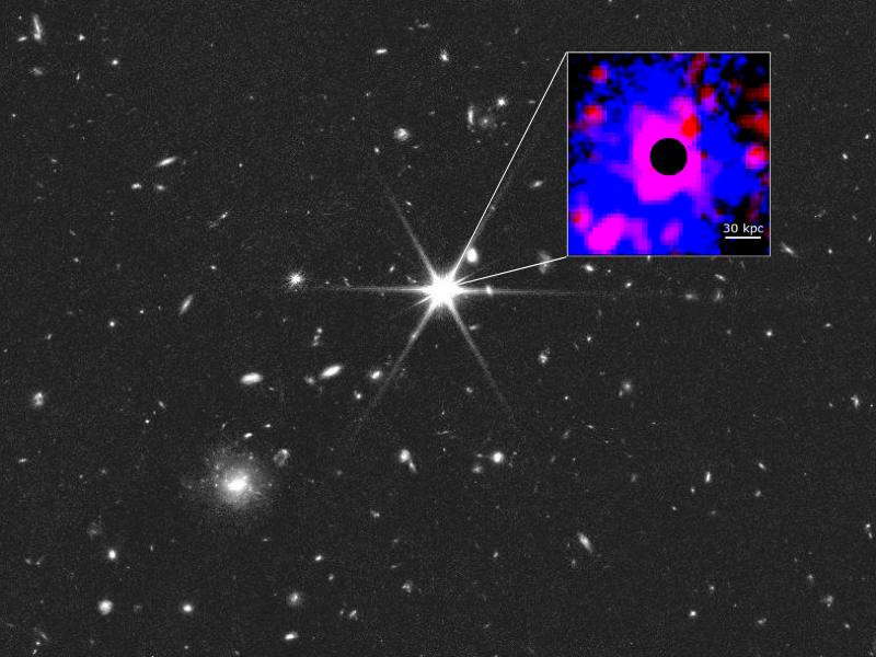 JWST F150W2 mosaic of the MQN01 protocluster with a zoom inset showing the cool Lyman-alpha nebula in blue and the new extended Chandra X-ray emission in red around the central quasar. The black disc masks the quasar itself. Source: A. Travascio (INAF) et al., A&A 2026, via INAF press release