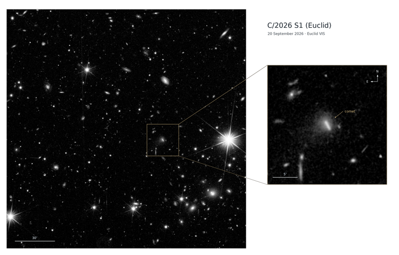 Wide Euclid VIS field on the left with a marked box around the discovery position, and an enlarged panel on the right showing the fuzzy comet labelled "comet" with a five-arcsecond scale bar