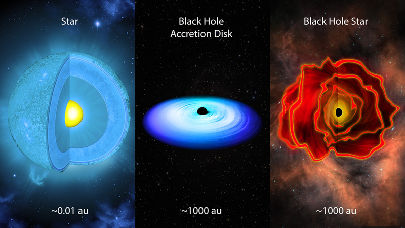 Three-panel schematic comparing a normal star (~0.01 au, blue cutaway sphere with a yellow fusion core), a black hole accretion disk (~1000 au, blue pancake spiral), and a black hole star (~1000 au, an amorphous red cloud with a black central sphere).