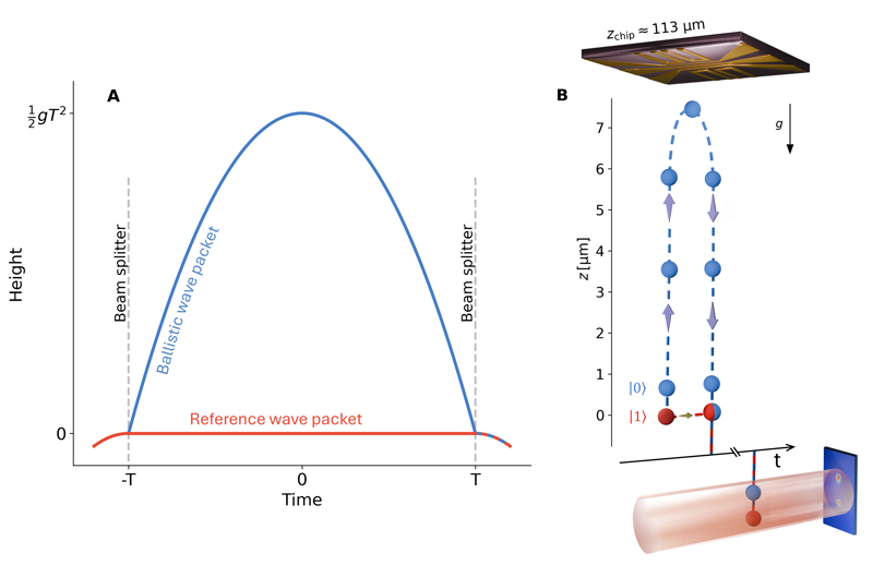 A scientific schematic of the Quantum Galileo Interferometer showing the spacetime trajectories of two wave packets in panel A and the vertical geometry of the atom chip, atom cloud and glass cell in panel B.