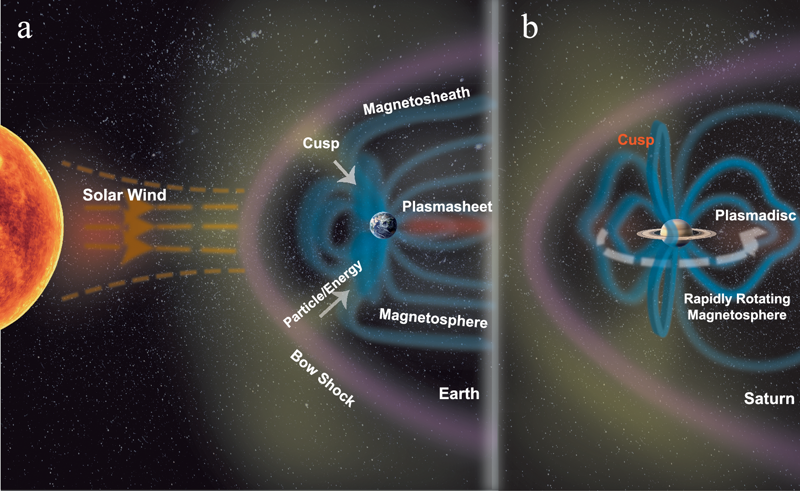 Schematic of Earth's (left) and Saturn's (right) magnetospheres, with the solar wind, bow shock, magnetosheath, plasmasheet or plasmadisc, and the magnetic cusps labelled. Saturn's field is more than ten times wider than the planet and rotates rapidly, dragging its cusp into the afternoon. Image credit: Xu et al., doi: 10.1038/s41467-026-69666-9, licensed under CC BY-NC-ND 4.0.