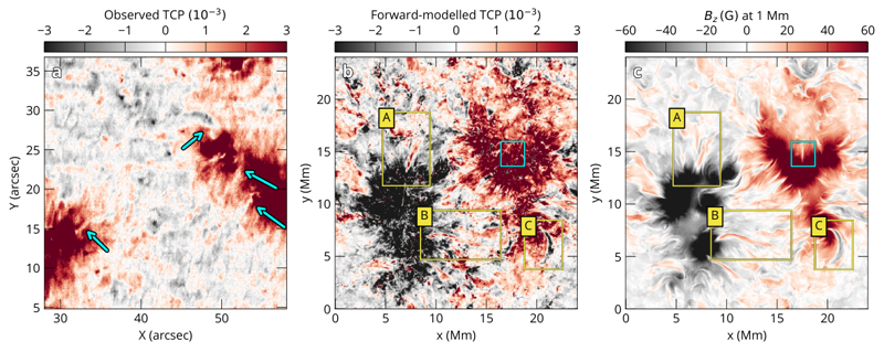 Three panels comparing the observed total circular polarization map of a quiet-Sun region from SUNRISE III, the same quantity forward-modelled from a MURaM-ChE simulation, and the simulated vertical magnetic field one megametre above the solar surface, with three tracked features labelled A, B and C.